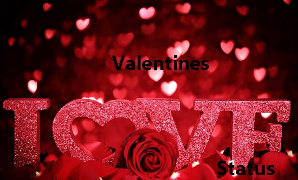 Valentine DP, Valentines Day Status for Facebook, Romantic Love Status For Valentine