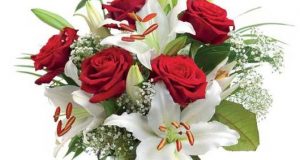 Best Valentines Day Flowers, Cheapest Online Florist shop, Free Valentine flowers Delivery, Low Cost Valentine Red Roses Bouquets, Cheap Valentines Day Flowers