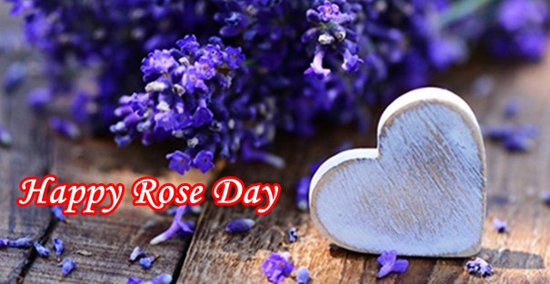 Happy rose day, rose day date, rose day sms, rose day messages, rose day quotes, rose day wishes, rose day images, rose day pictures, rose day whatsapp status
