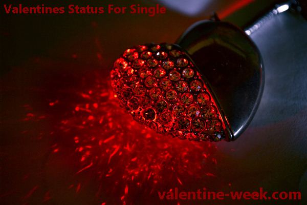 Valentines Day Status For Single For Facebook Whatsapp