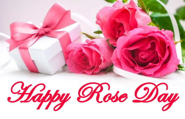 Happy Rose Day 2022,Happy Rose Day 2022 Images, Happy Rose Day 2022 picture 